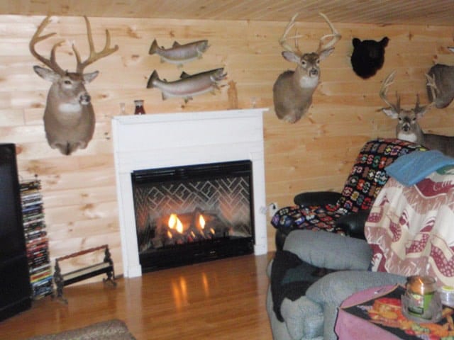 fireplace and mounts